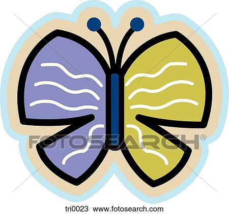 butterfly View Large Illustration Drawing - butterfly. Fotosearch
