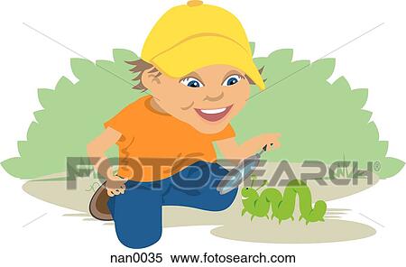 boy studying a caterpillar View Large Illustration Stock Illustration - boy studying a caterpillar. Fotosearch