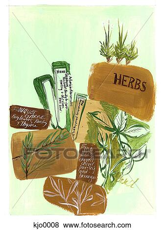 herbs and spices View Large Illustration Stock Illustration - herbs and spices. Fotosearch