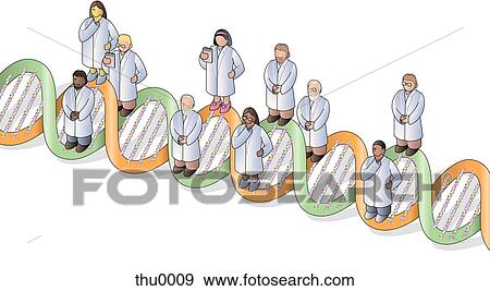doctors standing on a dna strand View Large Illustration Stock Illustration - doctors standing on a dna strand. Fotosearch