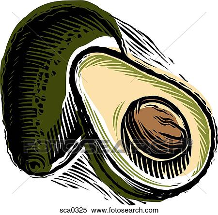 Stock Illustration - avocado. Fotosearch
