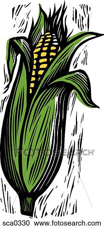 Clipart - corn. Fotosearch