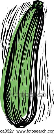 zucchini View Large Illustration Stock Illustration - zucchini. Fotosearch