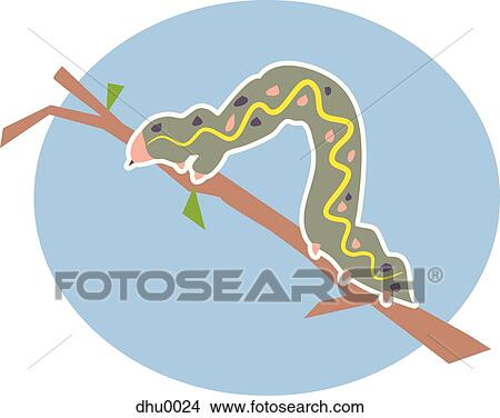 Stock Illustration - caterpillar. Fotosearch