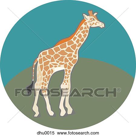 giraffe View Large Illustration Stock Illustration - giraffe. Fotosearch