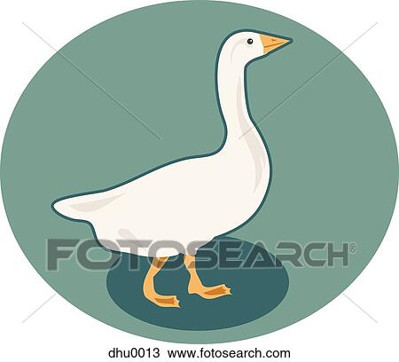 goose View Large Illustration Drawing - goose. Fotosearch
