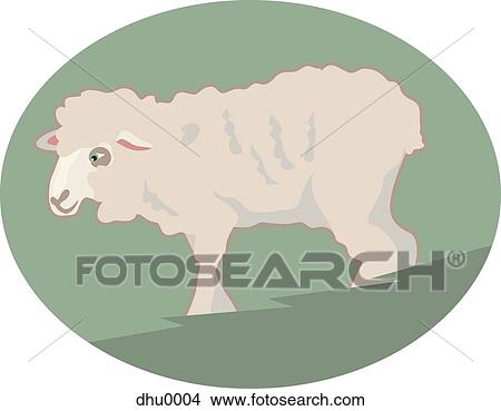 sheep View Large Illustration Stock Illustration - sheep. Fotosearch