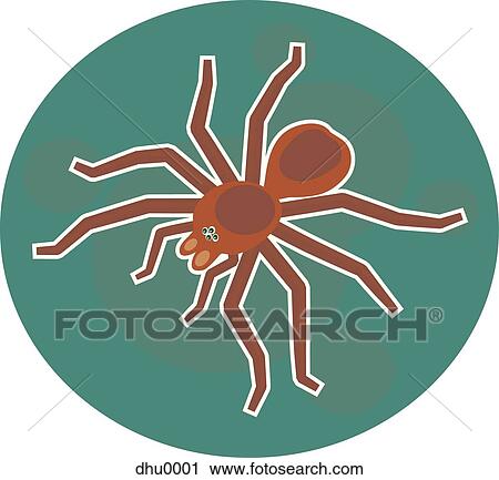 spider View Large Illustration Clip Art - spider. Fotosearch