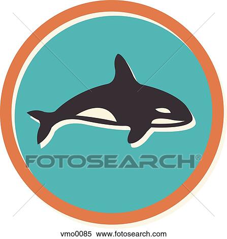 killer whale View Large Illustration Stock Illustration - killer whale. Fotosearch