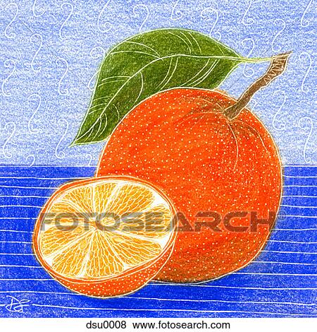 Stock Illustration - fresh oranges. Fotosearch