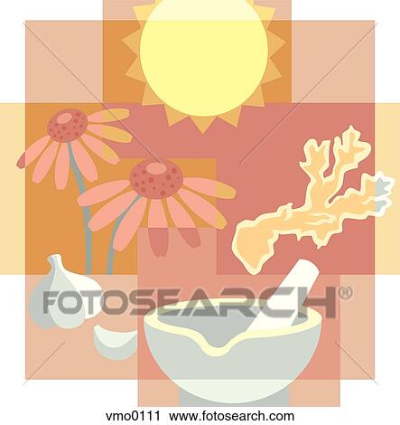 medicinal herbs View Large Illustration Clip Art - medicinal herbs. Fotosearch