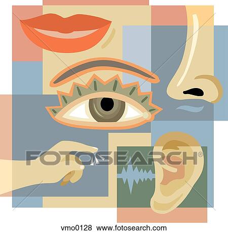 Stock Illustration - the five senses. Fotosearch