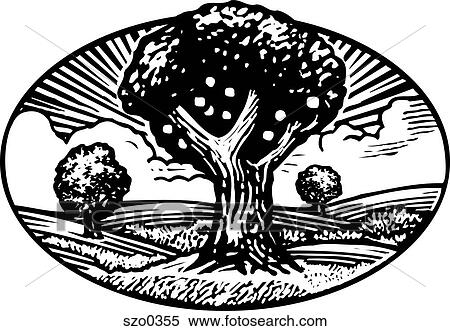 Stock Illustration - apple tree b/w. Fotosearch
