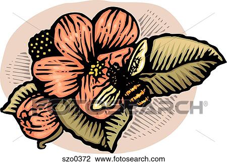 Drawing - bee and flower. Fotosearch