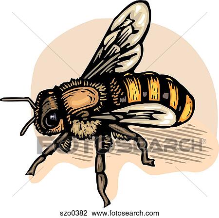bee View Large Illustration Drawing - bee. Fotosearch
