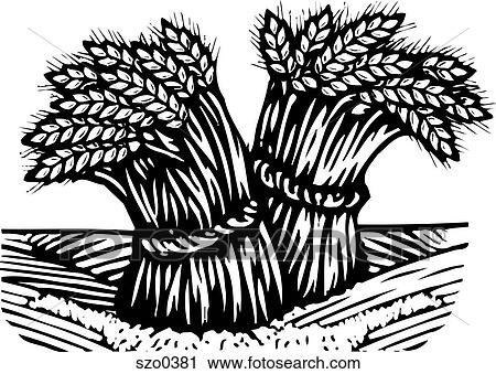 Clip Art - bunches of wheat b/w. Fotosearch