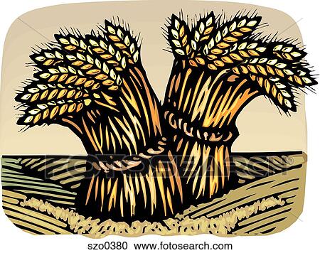 Clipart - bunches of wheat. Fotosearch