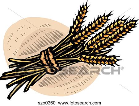 Clipart - bundle of wheat. Fotosearch