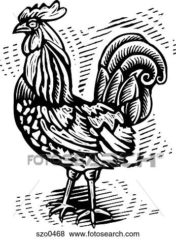 rooster b/w View Large Illustration Stock Illustration - rooster b/w. Fotosearch