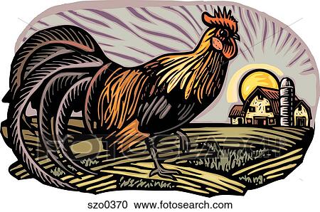 rooster View Large Illustration Clipart - rooster. Fotosearch