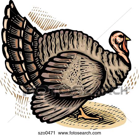 turkey View Large Illustration Clip Art - turkey. Fotosearch