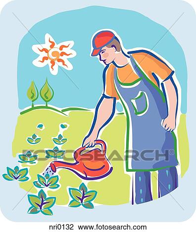 A man watering his garden View Large Illustration Drawing - A man watering his garden. Fotosearch