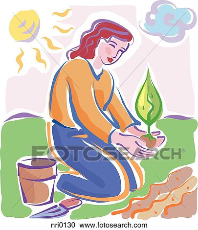 Clipart - A woman planting a seedling. Fotosearch