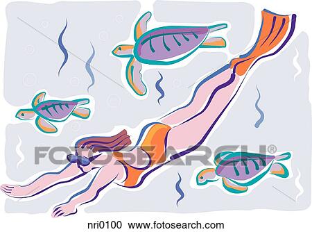 A woman swimming underwater with sea turtles View Large Illustration Clipart - A woman swimming underwater with sea turtles. Fotosearch