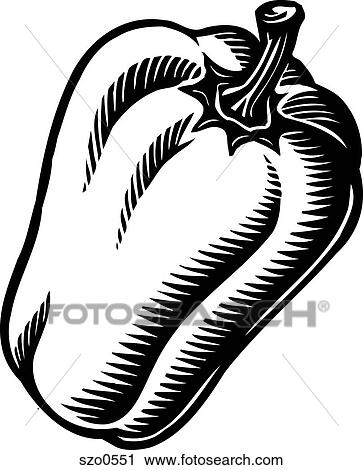 Clip Art - A balck and white illustration of a bell pepper. Fotosearch