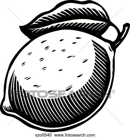 Clipart - A big ripe lemon in black and white. Fotosearch
