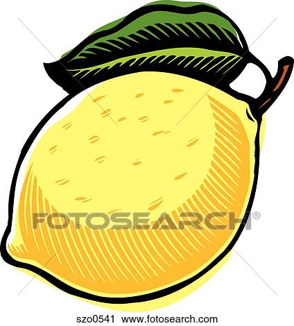 Clip Art - A big yellow lemon on a white background. Fotosearch