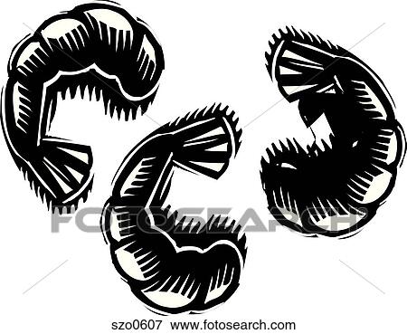 Stock Illustration - A black and white illustration of three shrimps. Fotosearch