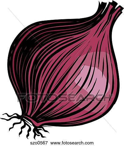 Stock Illustration - A bulb of red onion on a white background. Fotosearch