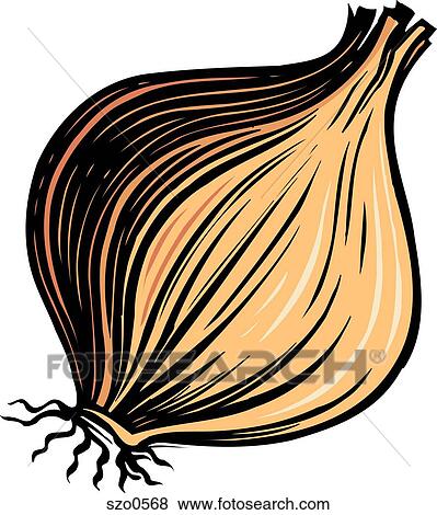 Stock Illustration - A bulb of yellow onion on a white background. Fotosearch