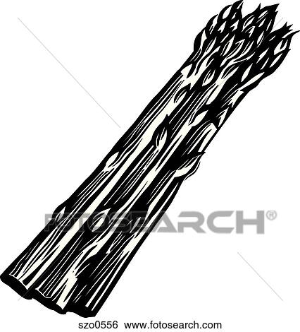 Stock Illustration - A bunch of asparagus in black and white. Fotosearch
