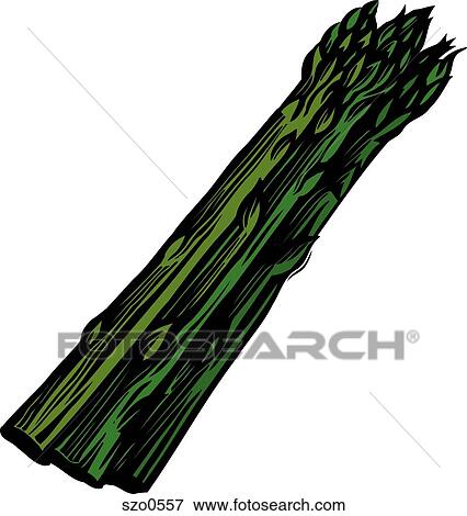 A bunch of asparagus on a white background View Large Illustration Stock Illustration - A bunch of asparagus on a white background. Fotosearch