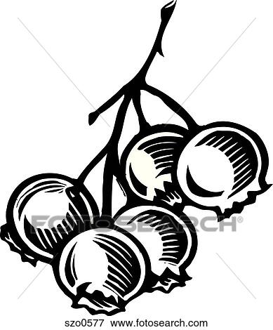 Stock Illustration - A bunch of black and white Blueberries illustrated on a white background. Fotosearch