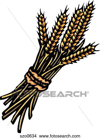 Stock Illustration - A bunch of wheat. Fotosearch