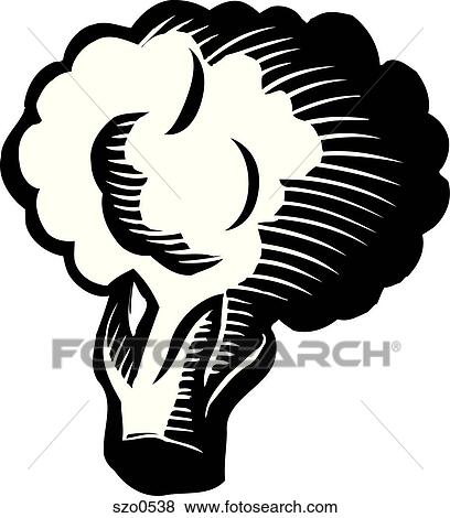 A cluster of broccoli in black and white View Large Illustration Stock Illustration - A cluster of broccoli in black and white. Fotosearch
