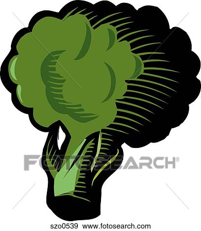 Stock Illustration - A drawing of a cluster of broccoli. Fotosearch