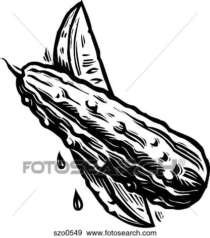 Stock Illustration - A drawing of sliced pickles. Fotosearch