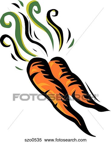 A drawing of two orange carrots View Large Illustration Stock Illustration - A drawing of two orange carrots. Fotosearch