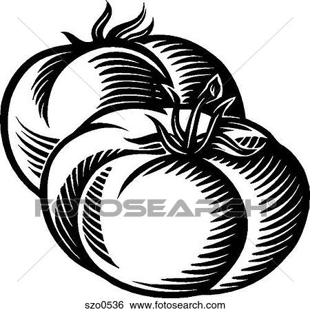 Stock Illustration - A drawing of two plump tomatoes in black and white. Fotosearch