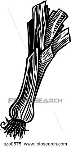 Stock Illustration - A pictorial representation of a bunch of Leek in black and white. Fotosearch