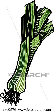 Stock Illustration - A pictorial representation of a bunch of leek. Fotosearch