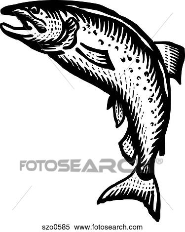 A picture of a black and white salmon View Large Illustration Stock Illustration - A picture of a black and white salmon. Fotosearch