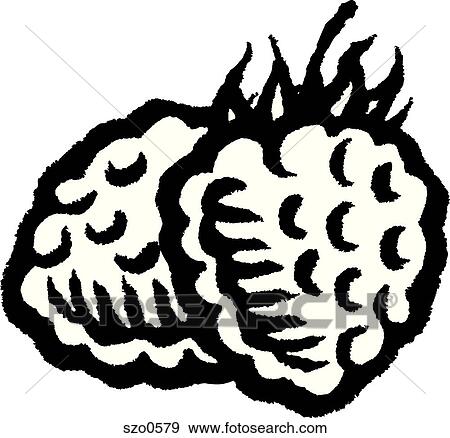 Stock Illustration - A picture of two raspberries in black and white. Fotosearch