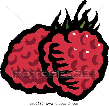 Clipart - A picture of two red raspberries. Fotosearch