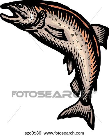 A salmon drawing against a white background Stock Illustration 