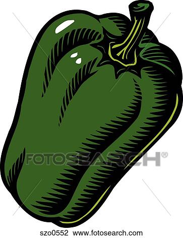 An illustration of a green pepper View Large Illustration Drawing - An illustration of a green pepper. Fotosearch